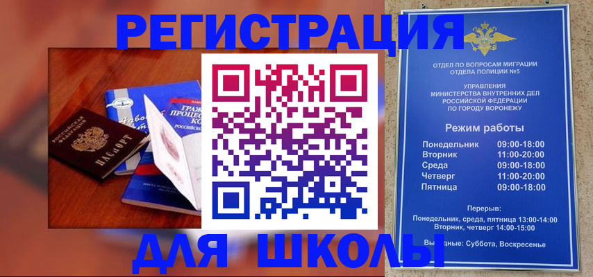 прописка для работы в Белой Холунице